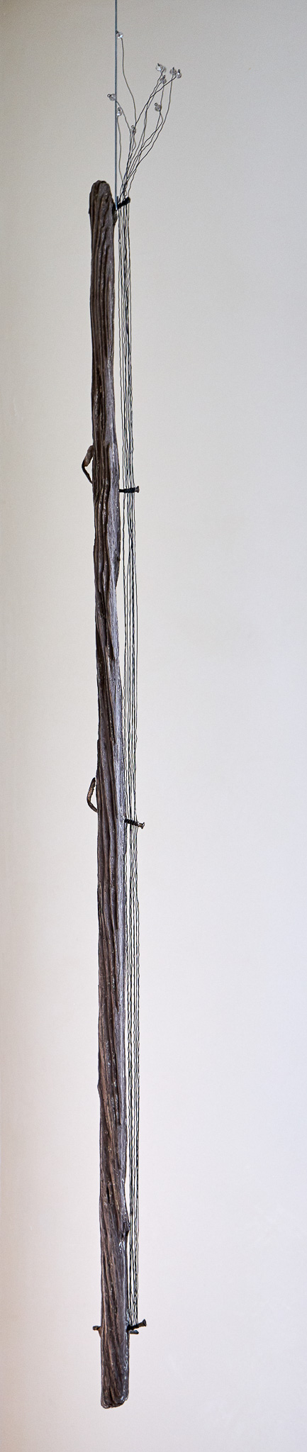 AnneLandenberger089